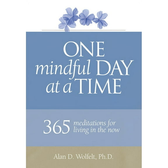 365 Meditations One Mindful Day at a Time: 365 Meditations on Living in the Now, (Paperback)