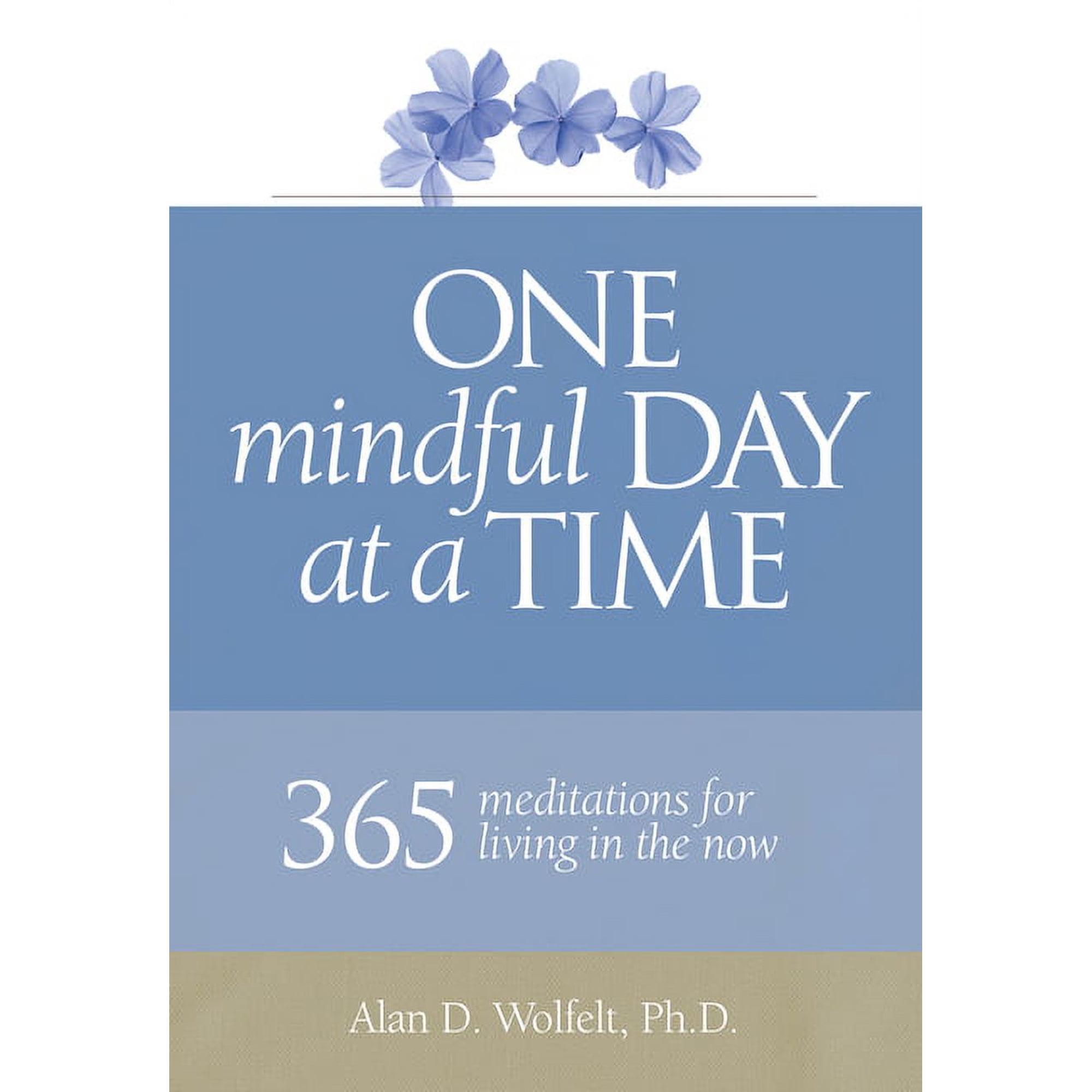 365 Meditations One Mindful Day at a Time: 365 Meditations on Living in the Now, (Paperback)