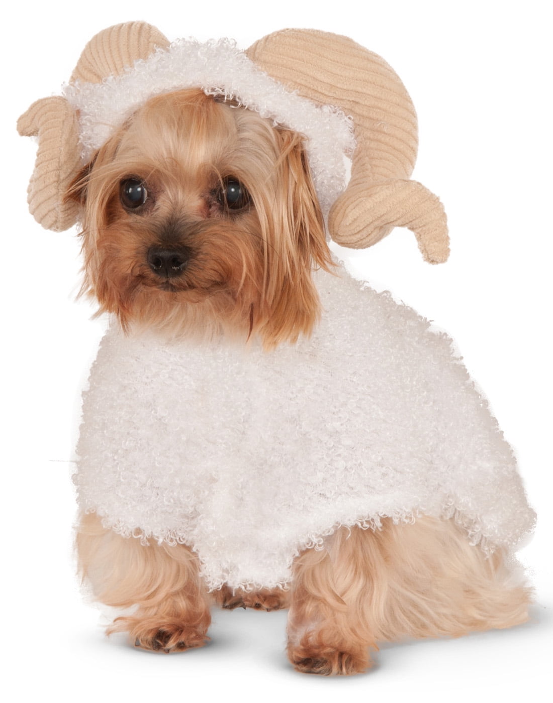 Are Lamb Horns Good For Dogs