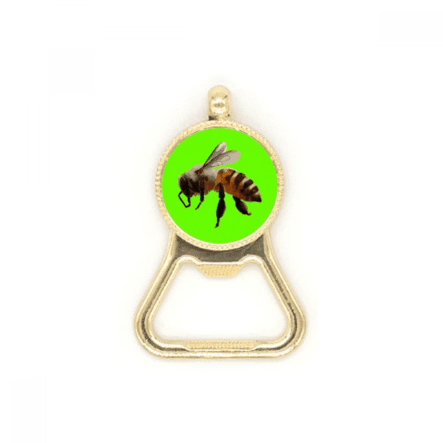 Abeja trabajadora. Botellas de cerveza, abrelatas de acero inoxidable.