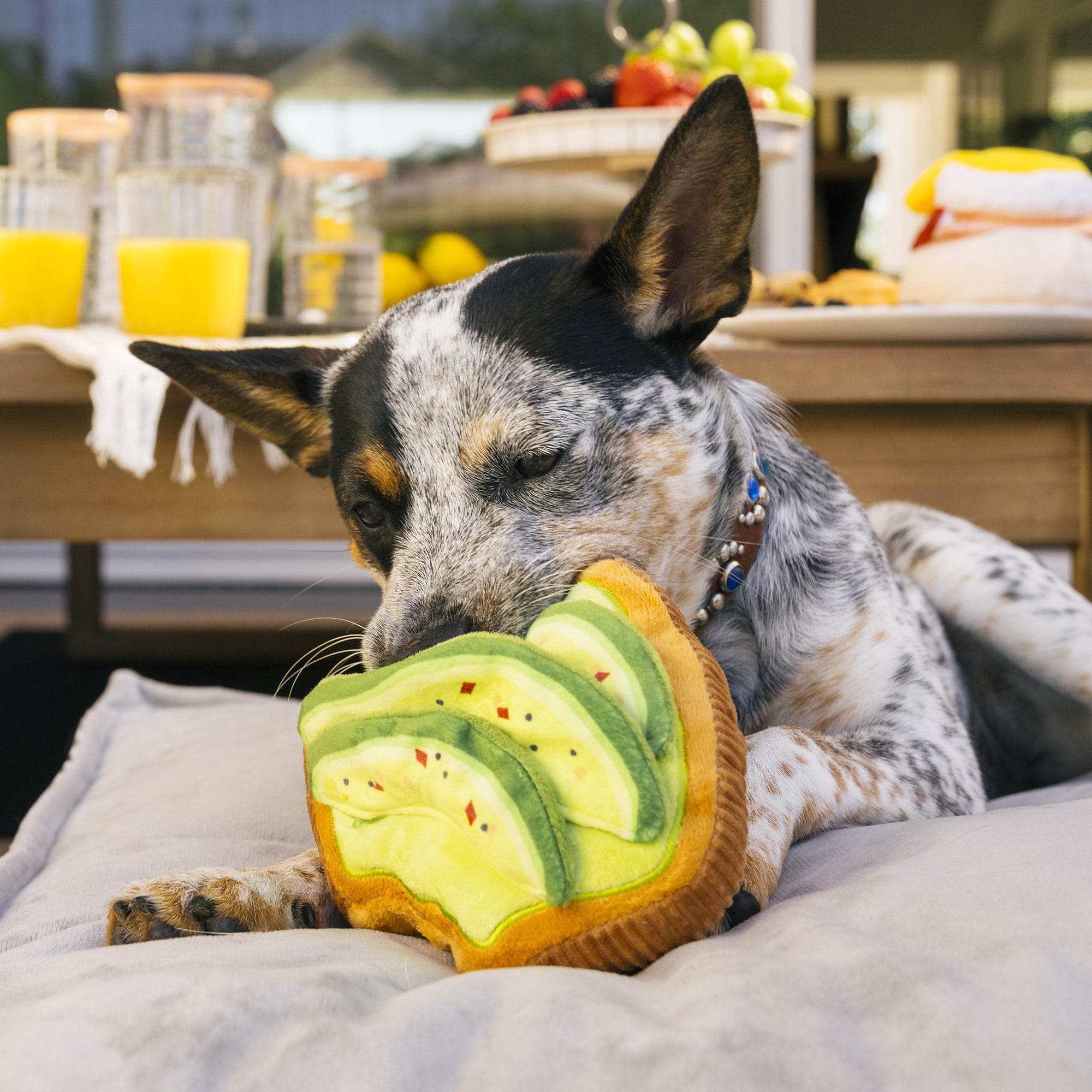 Barking Brunch Collection: Avo-Doggo Toast Pet Chew Toy