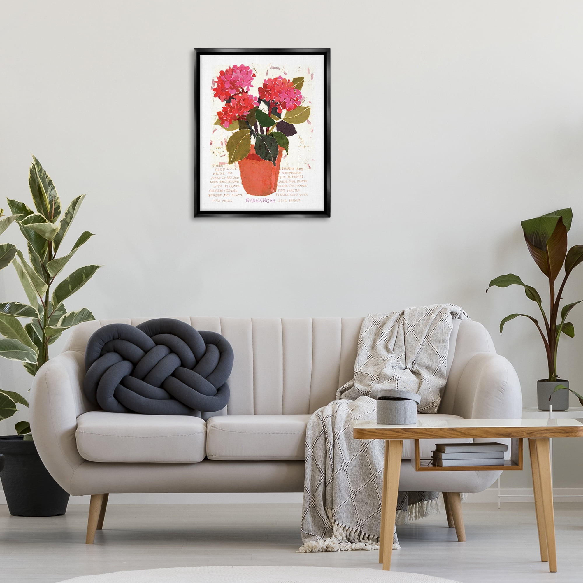 Stupell Industries Bold Red Hydrangea Botanical & Floral Painting Black Floater Framed Art Print Wall Art, 25 x 31