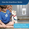 thumbnail image 2 of PetSafe Porte Intelligente Électronique, Porte Automatique pour Chien et Chat, Grande, Collier Activé avec SmartKey, 2 of 6