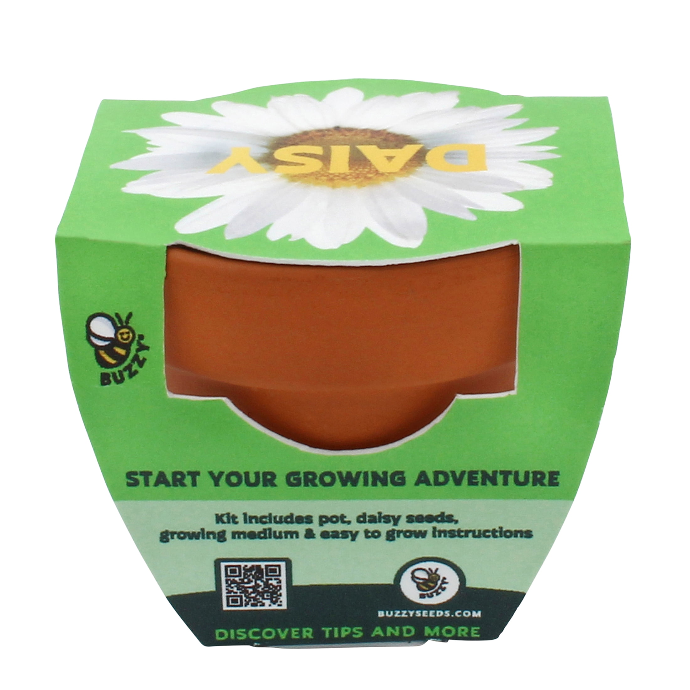 Buzzy Daisy Flower Grow Kit Mini Terracotta Pot Item 97716