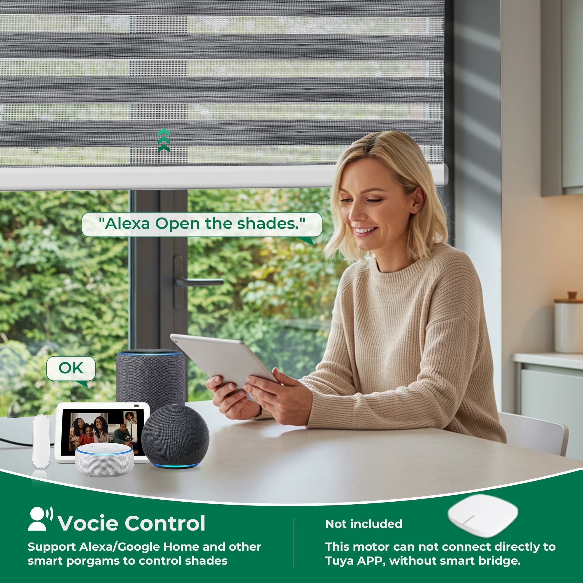 Allesin No Drill Motorized Zebra Shades with Remote, 50% Light Filtering Smart Blinds for Apartments & Rentals, Alexa Compatible, Auto Day/Night Adjustment (Rock Gray 36"W x 72"H)