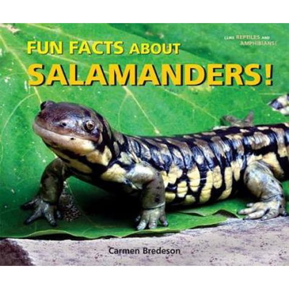 Pre-Owned Fun Facts about Salamanders! (Library Binding) 0766027902 9780766027909