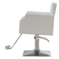 thumbnail image 2 of BarberPub Classic Hydraulic Pump Salon Chair, Barber Chair for Hair Stylist, 2 of 9