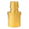 thumbnail image 2 of Conbraco 8975831 Réduire 0.5F19 60 x 0.75 Swt Adaptateur, 2 of 3