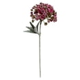 thumbnail image 2 of Artificial Perennial Sweet Alyssum Flower Stem 14In Fake Ball Flower for Home Wedding Vase Floral Arrangement Decor (Burgundy), 2 of 9