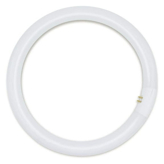 FC12T9 32W Light Bulb Replacement 12 Inch, T9 Circline Fluorescent Bulb - 4-Pin G10Q-4 Base - Great for Ceiling Fixtures, Garage Lights and Many Applications - 6500K Daylight - 1 Pack