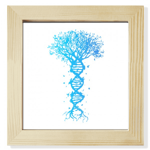 Tree Root Gene Spiral Art Deco Fashion Square Picture Frame Wall Tabletop Display