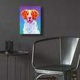 thumbnail image 5 of Epic Art 'Brittany Spaniel'  by Rebecca Wang Art Acrylic Glass Wall Art, 12" x 16", 5 of 8