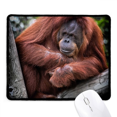 thumbnail image 1 of m Animal Orang-utan Mousepad Stitched Edge Mat Rubber Gang Pad, 1 of 2