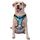 thumbnail image 1 of Fotbe Astronaut Tropical Dolphin Arnés para Perro con Estampado –Chaleco Ajustable Acolchado con Asa de Control para Perros Grandes-Small, 1 of 6
