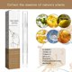 thumbnail image 4 of Toenail Renewal Solution Extra Strength Care for Toe Nail & Fingernails, Nail Repair Solution for Thick, broken, Discolored Nails 3ml, 4 of 5
