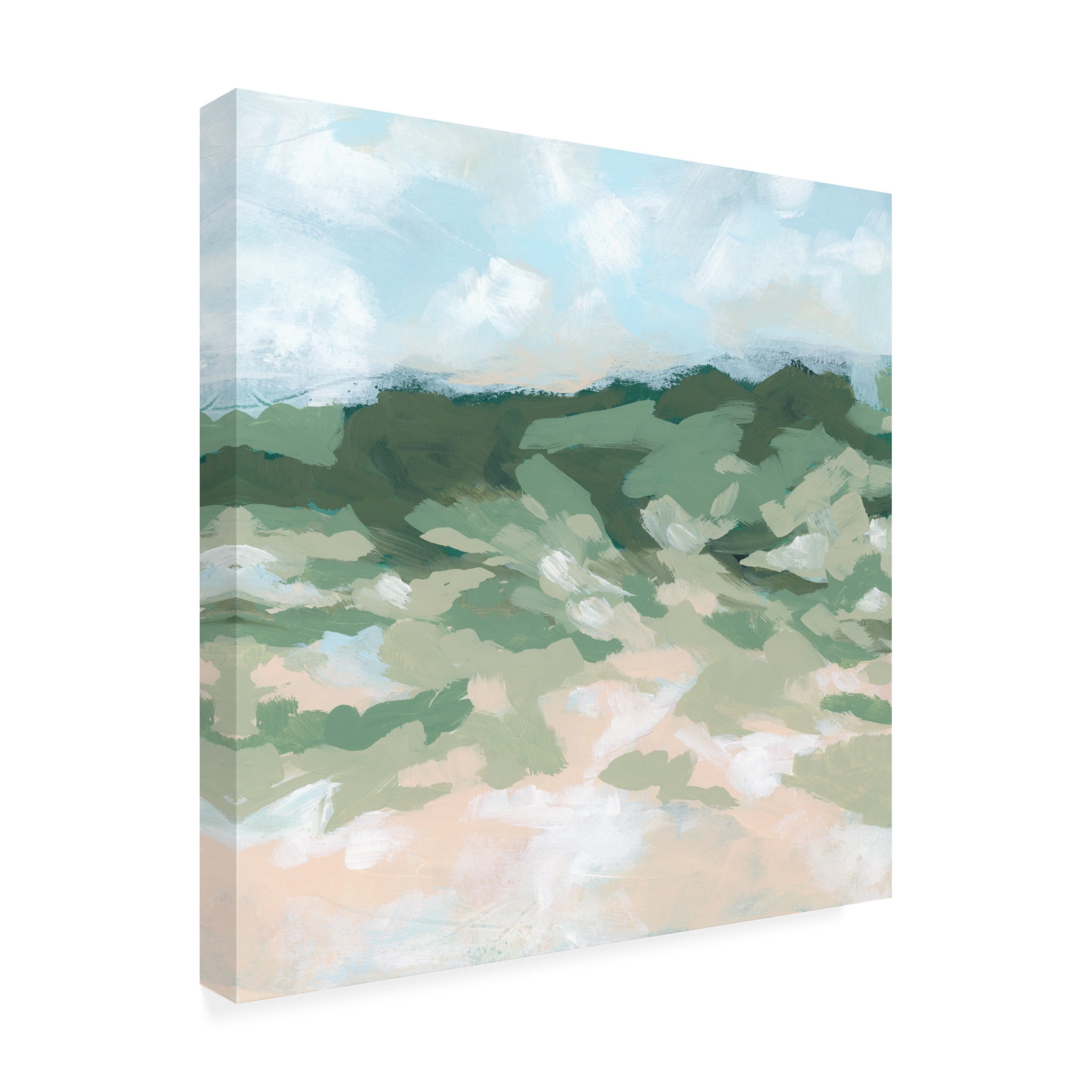 Trademark Fine Art June Erica Vess  Blockbrush Valley II Canvas Wall Art