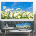 thumbnail image 1 of White Daisies under Bright Blue Sky - Floral Canvas Art Print, 1 of 3