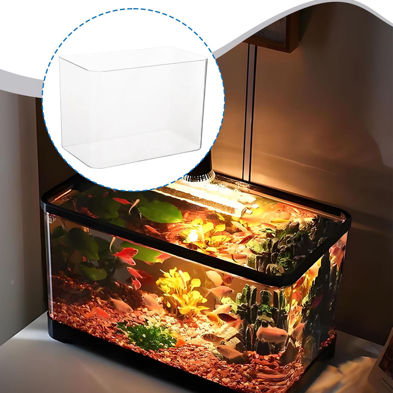 EHJRE Reptile Terrarium Tank Aquarium Clear Habitat Cage Transparent Feeding Box Sturdy Pp Build Suitable for Fish Keeping Reptile Caring Desktop Placement No Lid