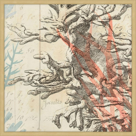 Marmont Hill "Sea Ephemera IV" Framed Painting Print