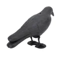 thumbnail image 5 of Crow Decoy For Outdoor Shooting Hunting New, 5 of 5