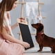 thumbnail image 5 of Almohadilla para rascar uñas para perros con caja de golosinas, tablero para rascar para perros, entrenador de molienda de uñas F, 5 of 5
