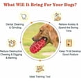 thumbnail image 2 of Sincero Jouet à Mâcher Chien Durable pour Mâcher Agressifs, Pneu Solide, Jouets de Nettoyage de Dents en Caoutchouc Résistants Non-Toxiques pour Grands Chiens, 2 of 5