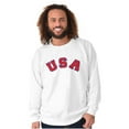 thumbnail image 4 of USA United States Patriotic 4th July Unisex Plus Fleece Graphic Sweatshirt Brisco Brands 2X, 4 of 6