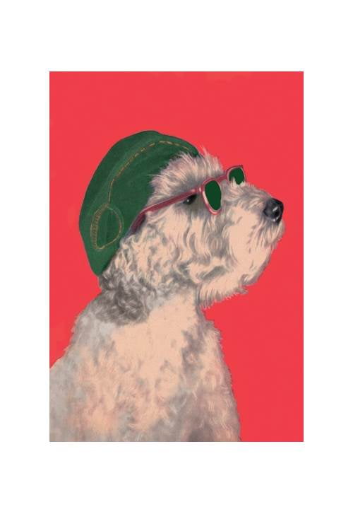 dog with glasses and hat