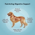 thumbnail image 3 of Pet Vet Medic Flavored Activated Charcoal Gel for Dogs & Cats (60ml Bottle), Dog First Aid Activated Charcoal, Absorbs Toxins, Supports Poisoning, Diarrhea & Gas Relief, Emergency Pet Dog Supplies, 3 of 7