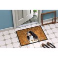 thumbnail image 2 of Carolines Treasures SC9134JMAT Springer Spaniel Door Mat Indoor Rug or Outdoor Welcome Mat 24x36 Doormat 36"L x 24"W, 2 of 4