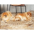 thumbnail image 4 of Dry Itchy Skin Problems Pet Shampoo, 4 of 6