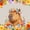 Yellow Red, variant on Manfei Cartoon Capybara 7-Piece Twin Bedding,Cute Wildflowers Pattern Bedding Comforter Set,Multicolor,Polkadot Reversible