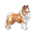 thumbnail image 3 of CafePress - ROUGH COLLIE Pajamas - Women's Light Pajamas, 3 of 4