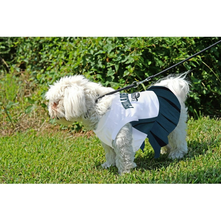 Eagles dog cheerleader clearance outfit
