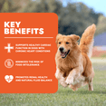 thumbnail image 3 of Forza10 Renal Wet Dog Food for Adult Dogs - 3.5 oz, 12 Pack - Lamb Flavor | Actiwet Renal Support Vet-Formulated with Cranberries, Dried Dandelion and Dried Clover - Non-GMO - Made in Italy, 3 of 6
