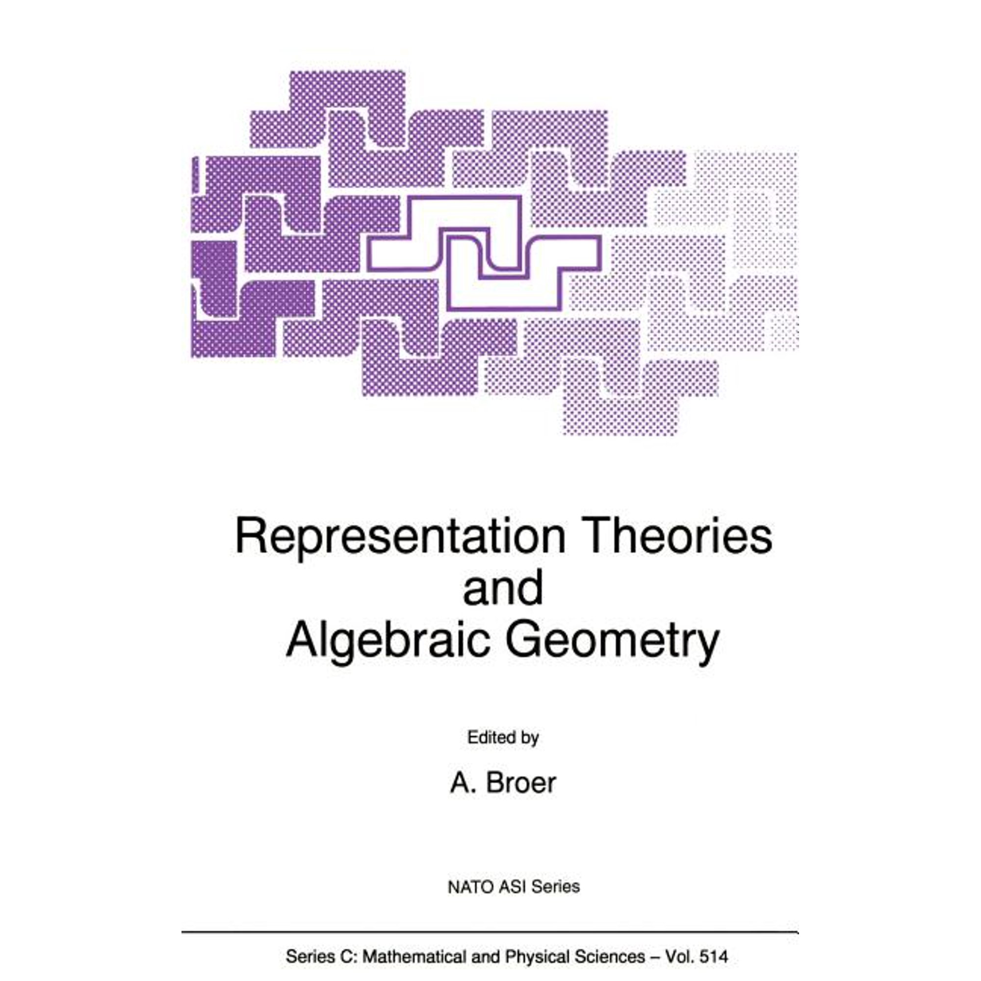 NATO Science Series C: Representation Theories and Algebraic Geometry Book 514 (Hardcover)