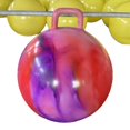 thumbnail image 1 of Bewildely Pelotas saltarinas para el desarrollo físico activo de los niños: mejora del equilibrio mediante el rebote enérgico. Juegos de césped rojo púrpura, 1 of 6