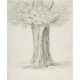 thumbnail image 2 of Ernst Ferdinand Oehme 20x24 Black Ornate Framed Double Matted Museum Art Print Titled: Study of a Tree (1832), 2 of 5