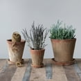 thumbnail image 2 of Creative Co-Op Cement Planter with Saucer, Distressed Terra-cotta Finish, Set of 2 (Holds 5" Pot), 2 of 5