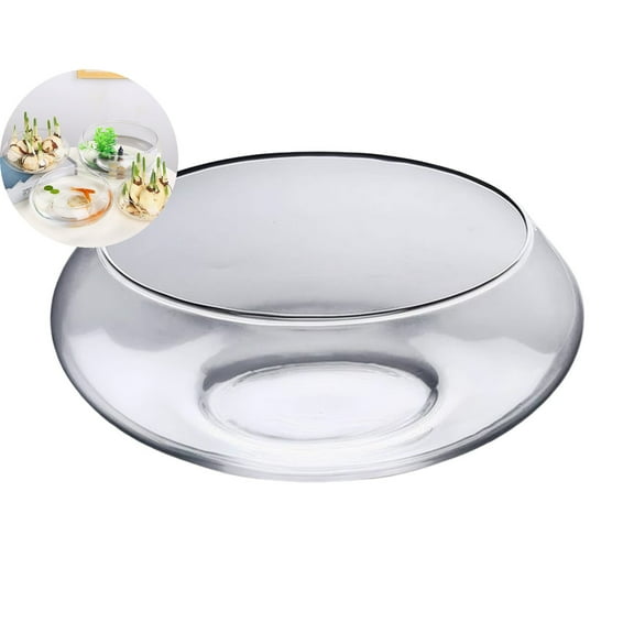 WNFJR Clear Glass Fish Bowl Wide Mouth Round Vase for Terrarium Air Plants Hydroponic Succulents Floral Container Home Office Wedding Decor