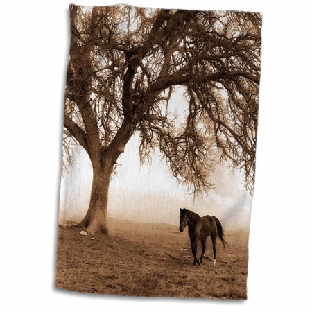 3dRose Western Sepia Toned Horse on a Ranch with an Oak Tree - Towel  15 by 22-inch