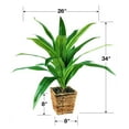 thumbnail image 6 of LCG Florals Artificial Plant, Dracaena, 2.83 ft, Woven Rattan Basket, 6 of 6