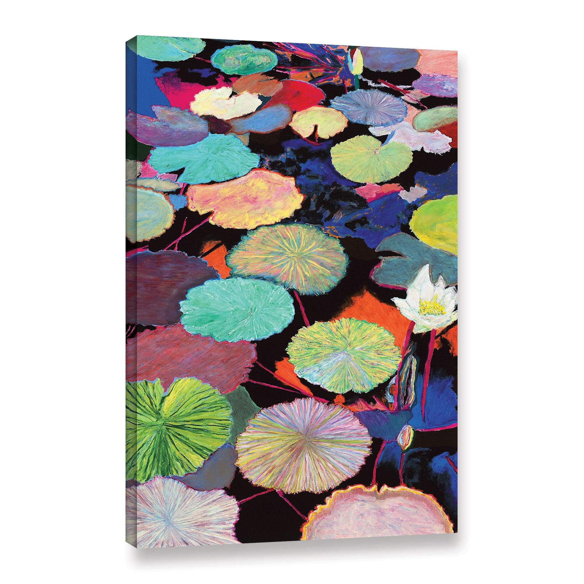 ArtWall Allan Friedlander "Inas Magic" Gallery-wrapped Canvas