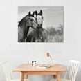 thumbnail image 2 of Acheng Black and White Horse Picture Wall Decor Animals Canvas Wall Art Romantic Horse Painting Artwork for Living Room Bedroom Office Home 20x16in, 2 of 6