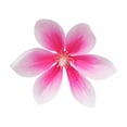 thumbnail image 2 of Cabeza De Flor Artificial, Decoracin Floral De Plstico, Material Para Manualidades, Cabeza De Flor Falsa, Decoracin Del Hogar, Bodas, Centros De Mesa Para Eventos, Flor Artificial, UKHBMC, 2 of 9