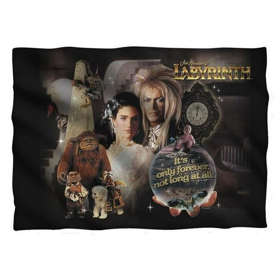 Labyrinth/only Forever-pillow Case-white-20x28
