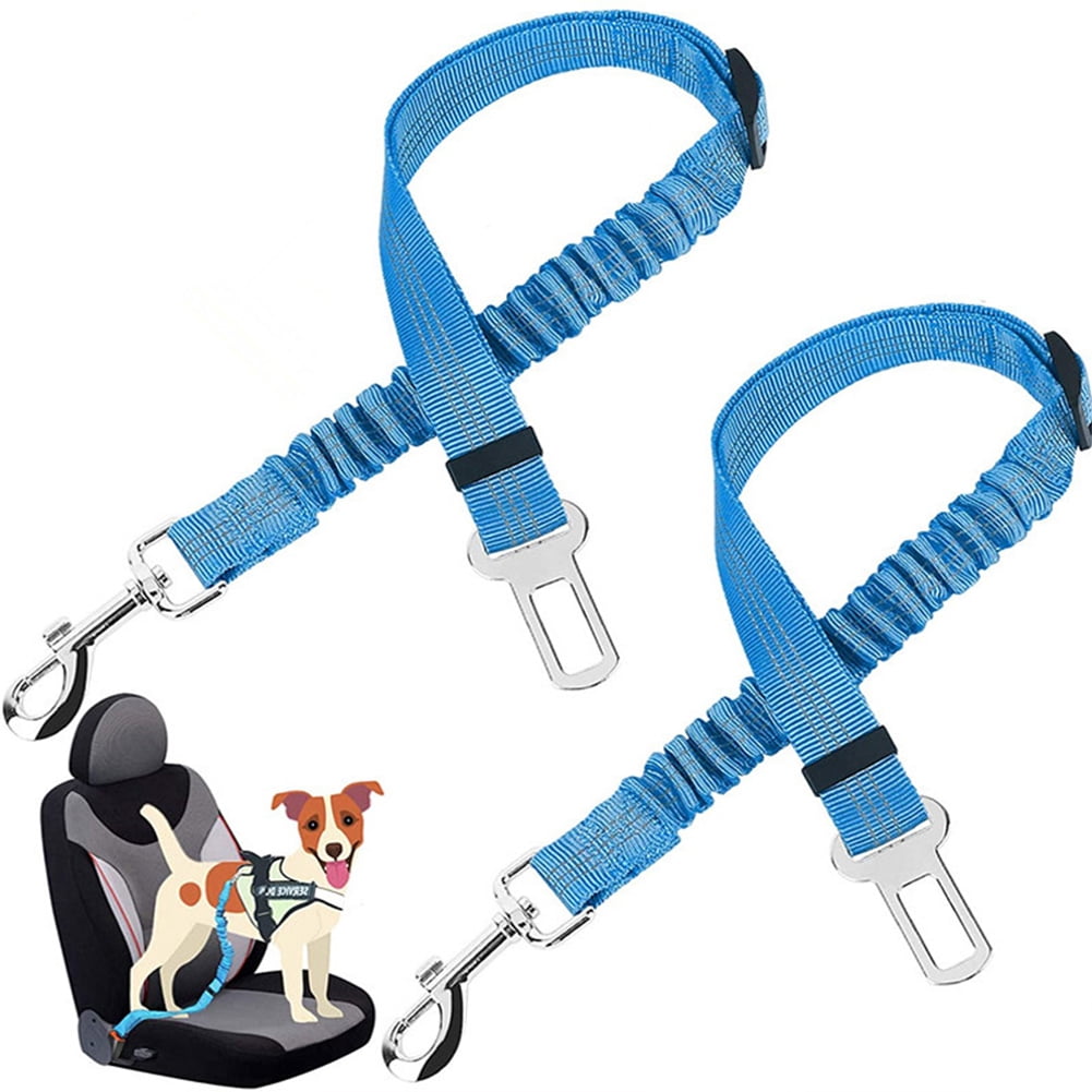 retractable rope dog leash