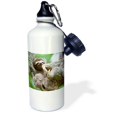 3dRose Brown-Throated Sloth wildlife, Corcovado Costa Rica - SA22 JGS0021 - Jim Goldstein, Sports Water Bottle, (Best Wildlife Viewing In Costa Rica)