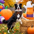 thumbnail image 4 of Halloween Pet Bandana Dog Neck Scarf for Holiday Parties Photo Decoration, Polyester, 4 of 6