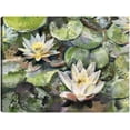 thumbnail image 1 of Cuadro Decorativo - flores de loto Jr  Impresión en canvas, estrechado., 1 of 1